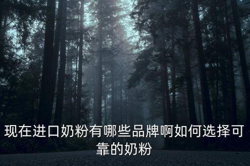 現(xiàn)在進(jìn)口奶粉有哪些品牌啊如何選擇可靠的奶粉