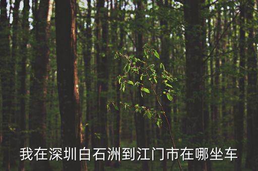 我在深圳白石洲到江門市在哪坐車