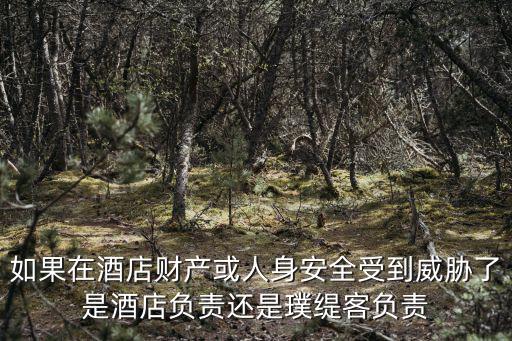 如果在酒店財產或人身安全受到威脅了是酒店負責還是璞緹客負責