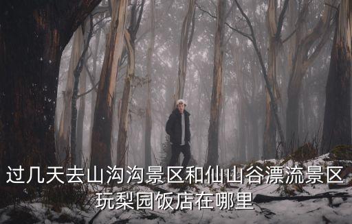 山溝溝景區，過幾天去山溝溝景區和仙山谷漂流景區玩梨園飯店在哪里