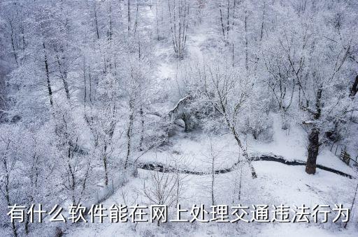 交通違法舉報(bào)平臺(tái)app，有什么軟件能在網(wǎng)上處理交通違法行為