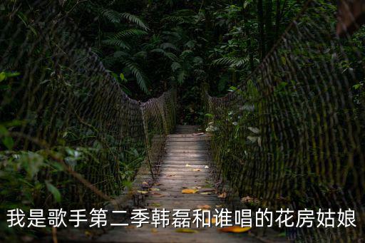 我是歌手第二季韓磊和誰唱的花房姑娘