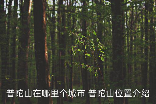 普陀山在哪里個(gè)城市 普陀山位置介紹