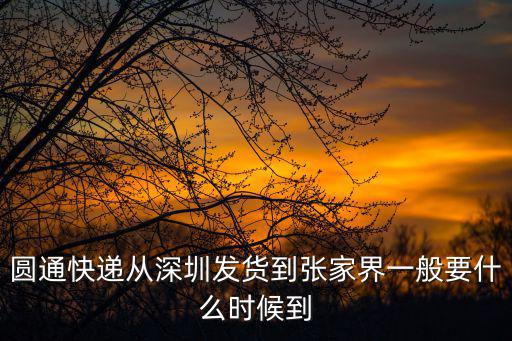 圓通快遞從深圳發(fā)貨到張家界一般要什么時候到
