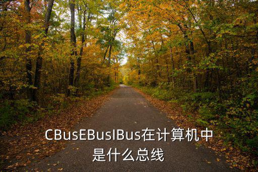 CBusEBusIBus在計算機中是什么總線