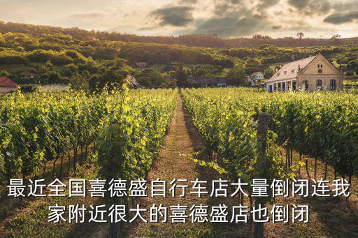 最近全國喜德盛自行車店大量倒閉連我家附近很大的喜德盛店也倒閉