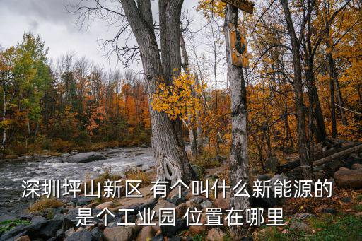 深圳新能源，深圳坪山新區(qū) 有個叫什么新能源的 是個工業(yè)園 位置在哪里