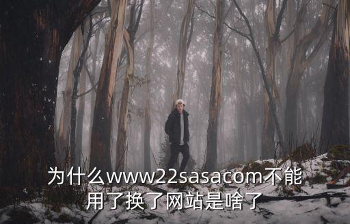 22sasa，22sasa改成什么了
