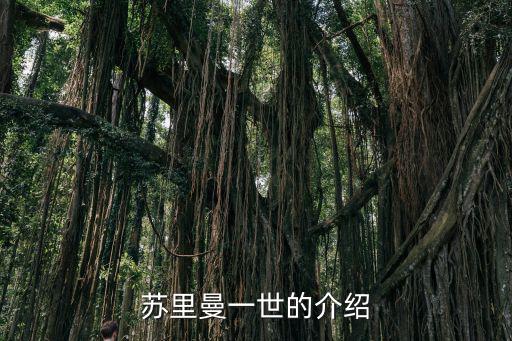 蘇里曼一世的介紹