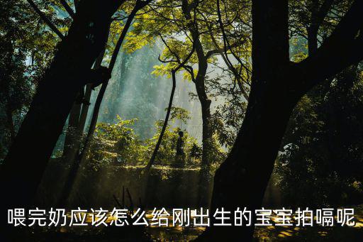 喂完奶應(yīng)該怎么給剛出生的寶寶拍嗝呢