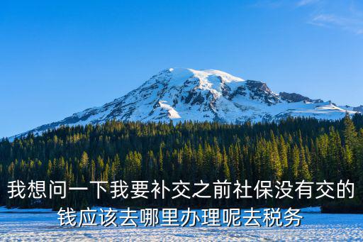 我想問一下我要補交之前社保沒有交的錢應該去哪里辦理呢去稅務