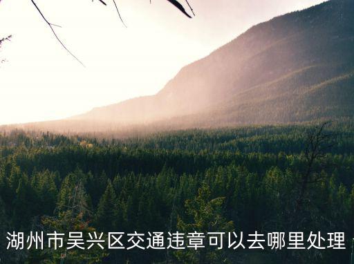 湖州市吳興區交通違章可以去哪里處理