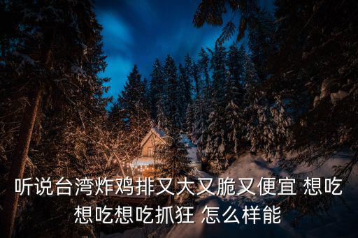 聽說臺灣炸雞排又大又脆又便宜 想吃想吃想吃抓狂 怎么樣能