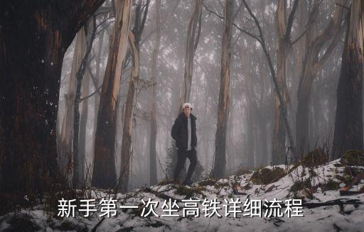 新手第一次坐高鐵詳細流程