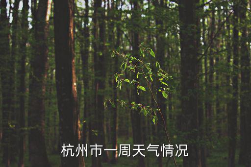 杭州市一周天氣情況