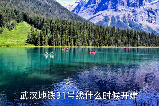 地鐵31號線，武漢地鐵31號線什么時候開建
