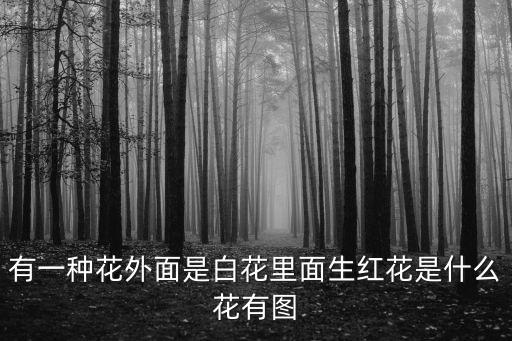 有一種花外面是白花里面生紅花是什么花有圖