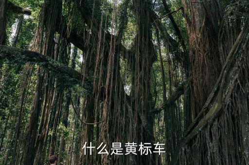 什么是黃標車
