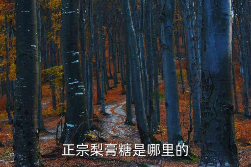 正宗梨膏糖是哪里的