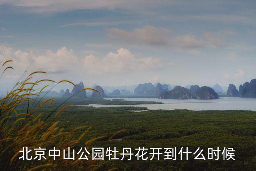 北京中山公園牡丹花開到什么時候