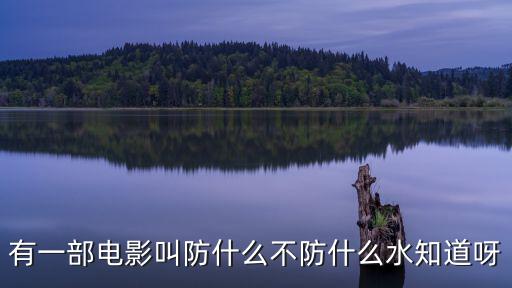 有一部電影叫防什么不防什么水知道呀