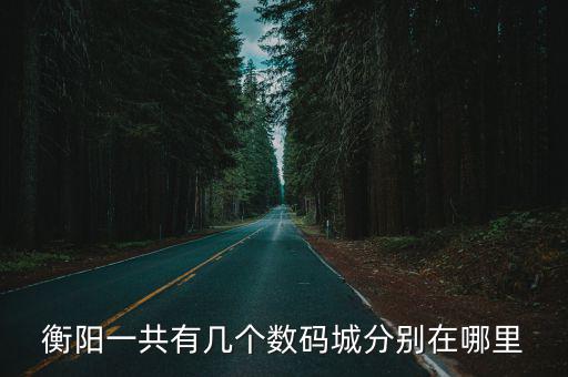 衡陽一共有幾個(gè)數(shù)碼城分別在哪里