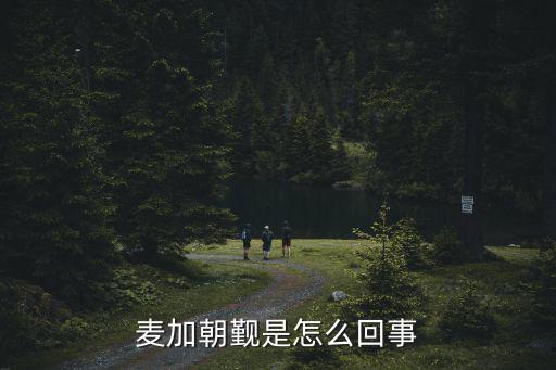 麥加朝圣，麥加朝覲是什么意思