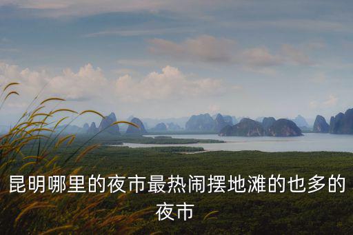 昆明哪里的夜市最熱鬧擺地灘的也多的夜市