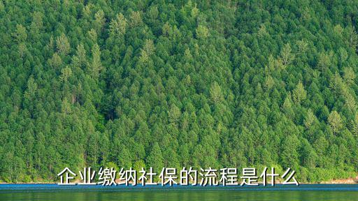 企業繳納社保的流程是什么