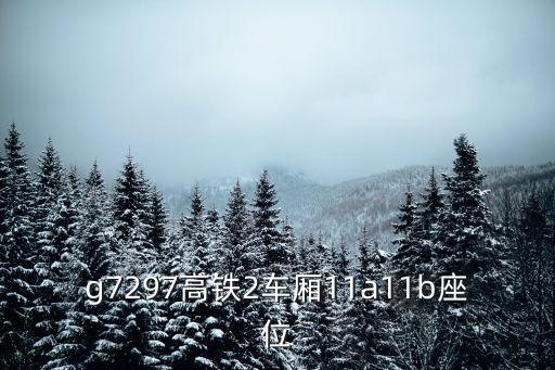 g7297高鐵2車廂11a11b座位