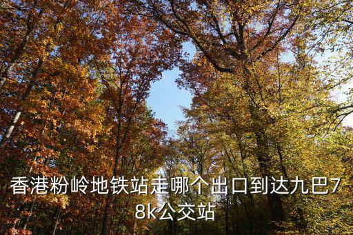 香港粉嶺地鐵站走哪個出口到達(dá)九巴78k公交站