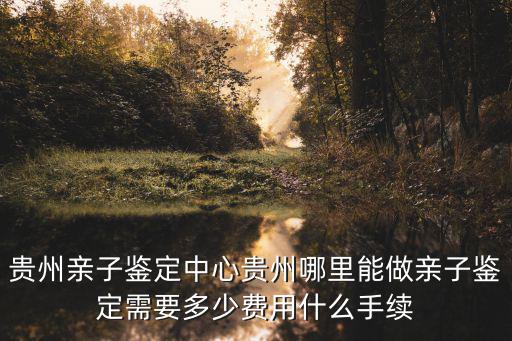 貴州親子鑒定中心貴州哪里能做親子鑒定需要多少費用什么手續
