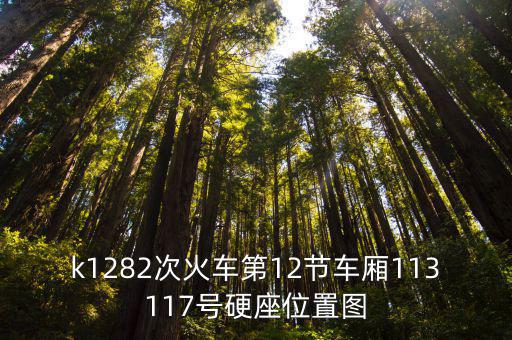 k1282次火車第12節(jié)車廂113117號硬座位置圖