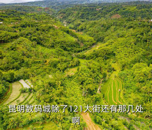 數碼城，昆明數碼城除了121大街還有那幾處啊