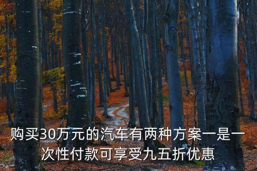 購買30萬元的汽車有兩種方案一是一次性付款可享受九五折優惠