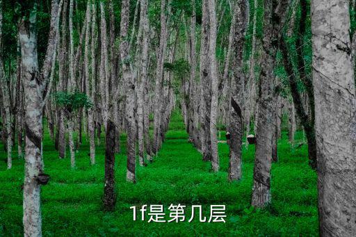 一f，1f是第幾層