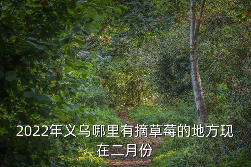 2022年義烏哪里有摘草莓的地方現在二月份