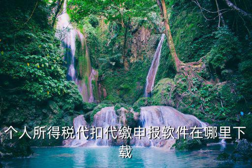 個人所得稅代扣代繳申報軟件在哪里下載