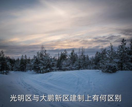 光明區與大鵬新區建制上有何區別