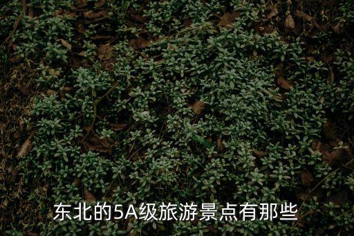 東北的5A級旅游景點有那些