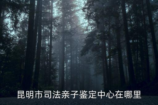 昆明市司法親子鑒定中心在哪里