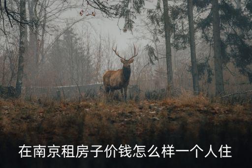 在南京租房子價錢怎么樣一個人住