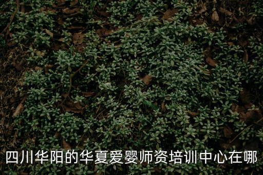 四川華陽的華夏愛嬰師資培訓中心在哪