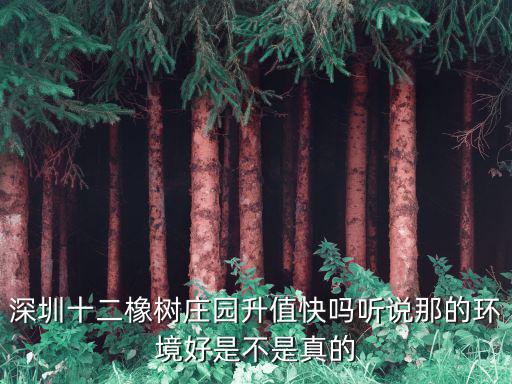十二橡樹莊園，有人知道深圳十二橡樹莊園的晚會是由哪家公司做的策展
