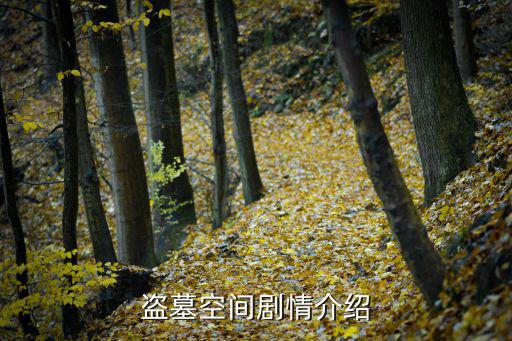 盜墓空間，盜墓空間劇情介紹