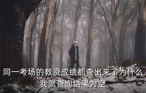 教資考場查詢，同一考場的教資成績都查出來了為什么我就查詢結果為空