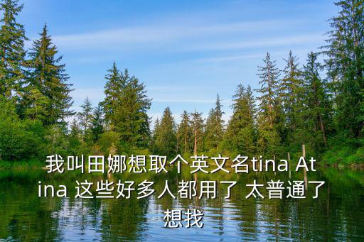 我叫田娜想取個英文名tina Atina 這些好多人都用了 太普通了 想找