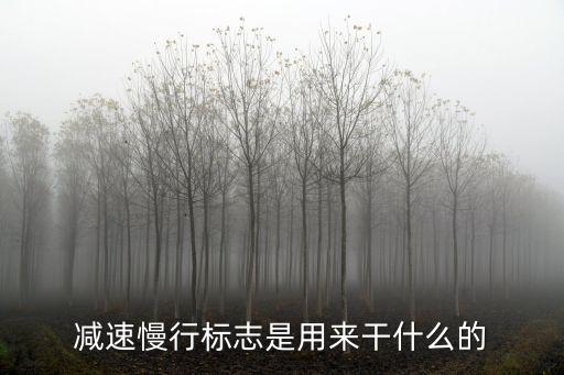 減速標志，連續下坡 減速慢行屬于什么標志