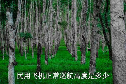 巡航高度，民用飛機正常巡航高度是多少
