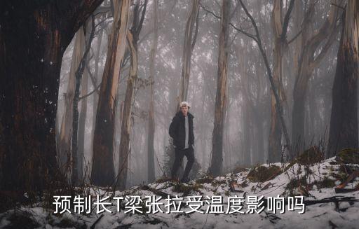 預(yù)制長T梁張拉受溫度影響嗎